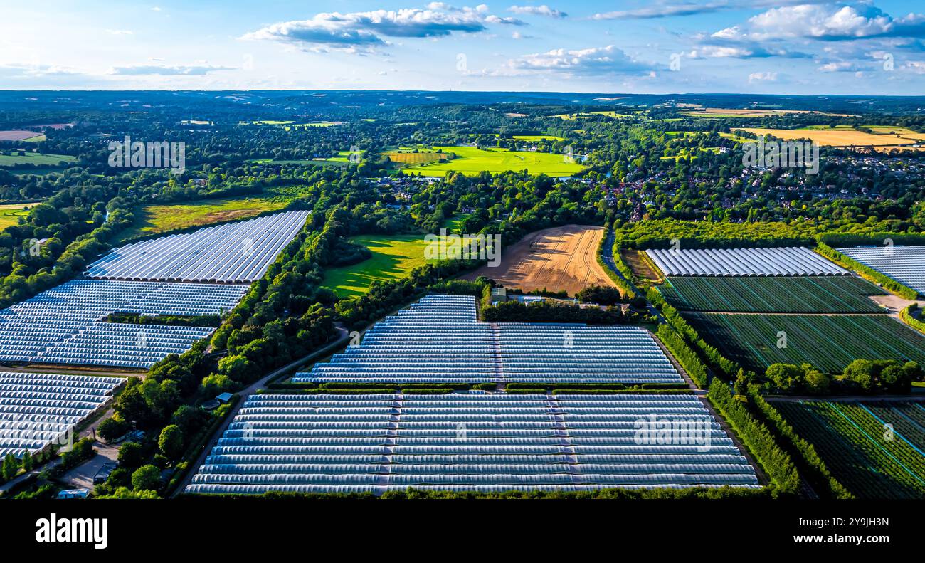 Luftaufnahme industrieller Gewächshausbetriebe im landwirtschaftlichen Teil Englands, UK Stockfoto