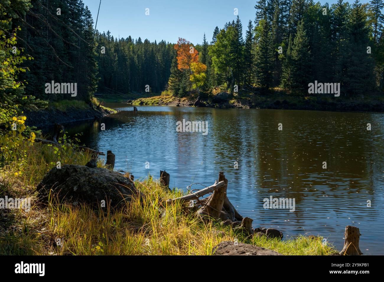 Big Beaver Reservoir auf Colorado's Grand Mesa, in Herbstfarbe Stockfoto