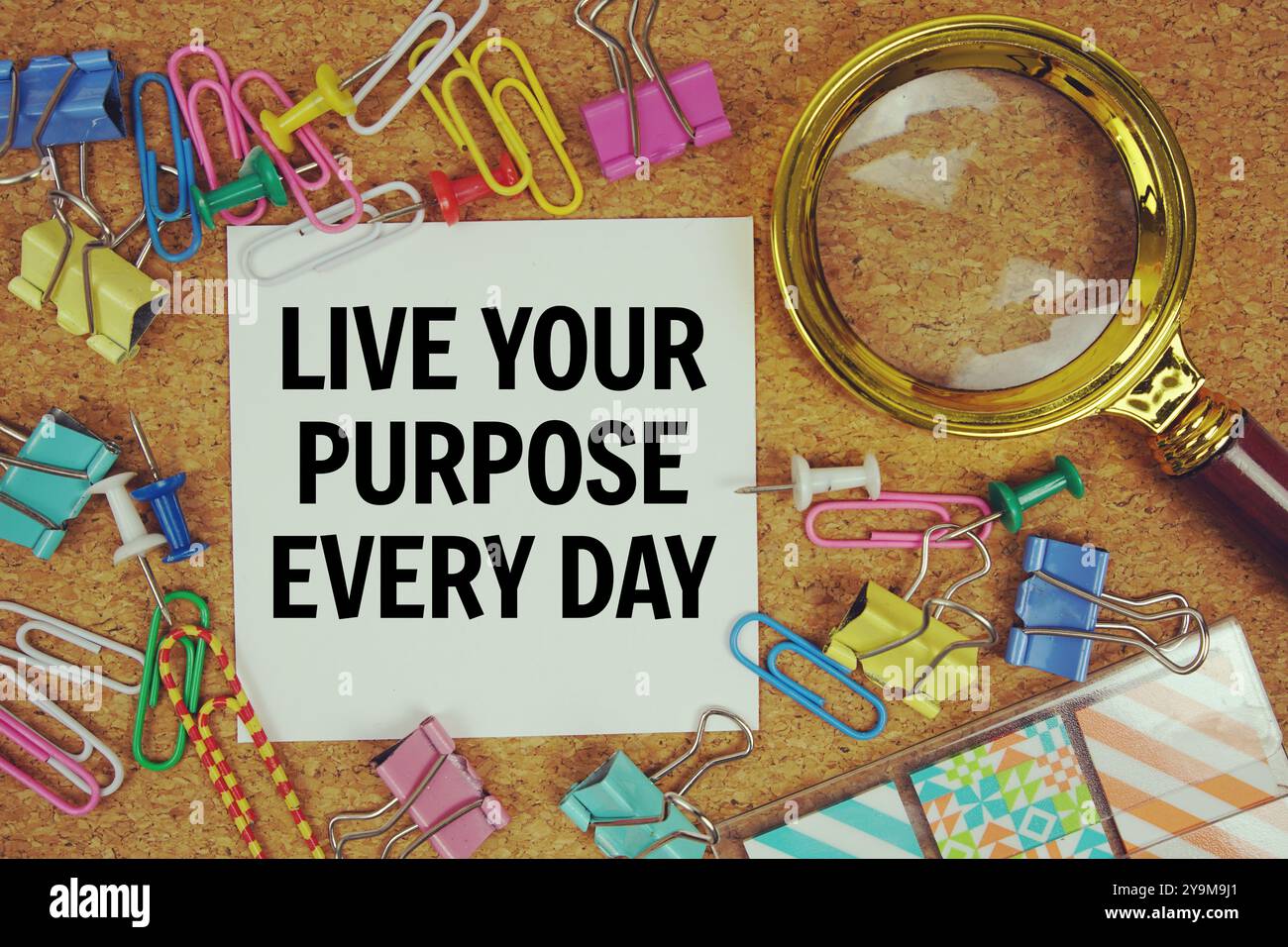 Live Your Purpose Every Day Text auf Papierkarte mit Lupe und Schreibwaren auf Korkbrett Hintergrund Stockfoto