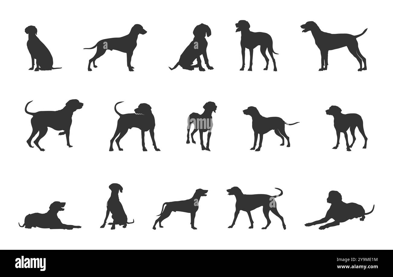 Weimaraner Hund Silhouette, Weimaraner Hund svg, Weimaraner svg, Weimaraner Silhouette, Weimaraner Hund Vektorbündel. Stock Vektor