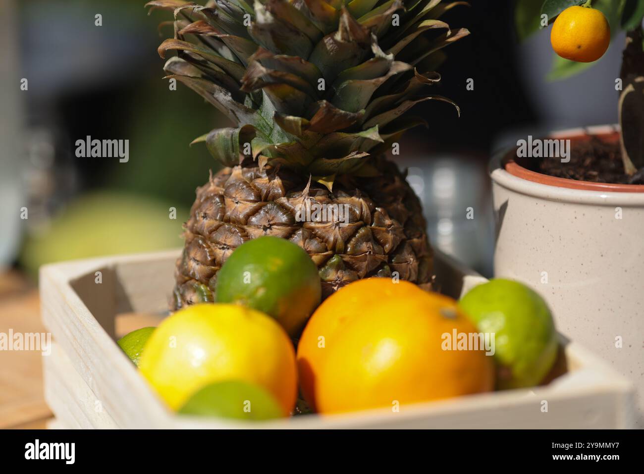 Geringe Schärfentiefe (selektiver Fokus) mit Ananas, Zitronen, Limette und Orangen auf einer Limonade-Bar. Stockfoto