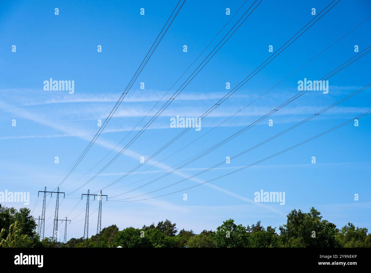 Hochspannungsleitungen, die über einen Wald führen Stockfoto