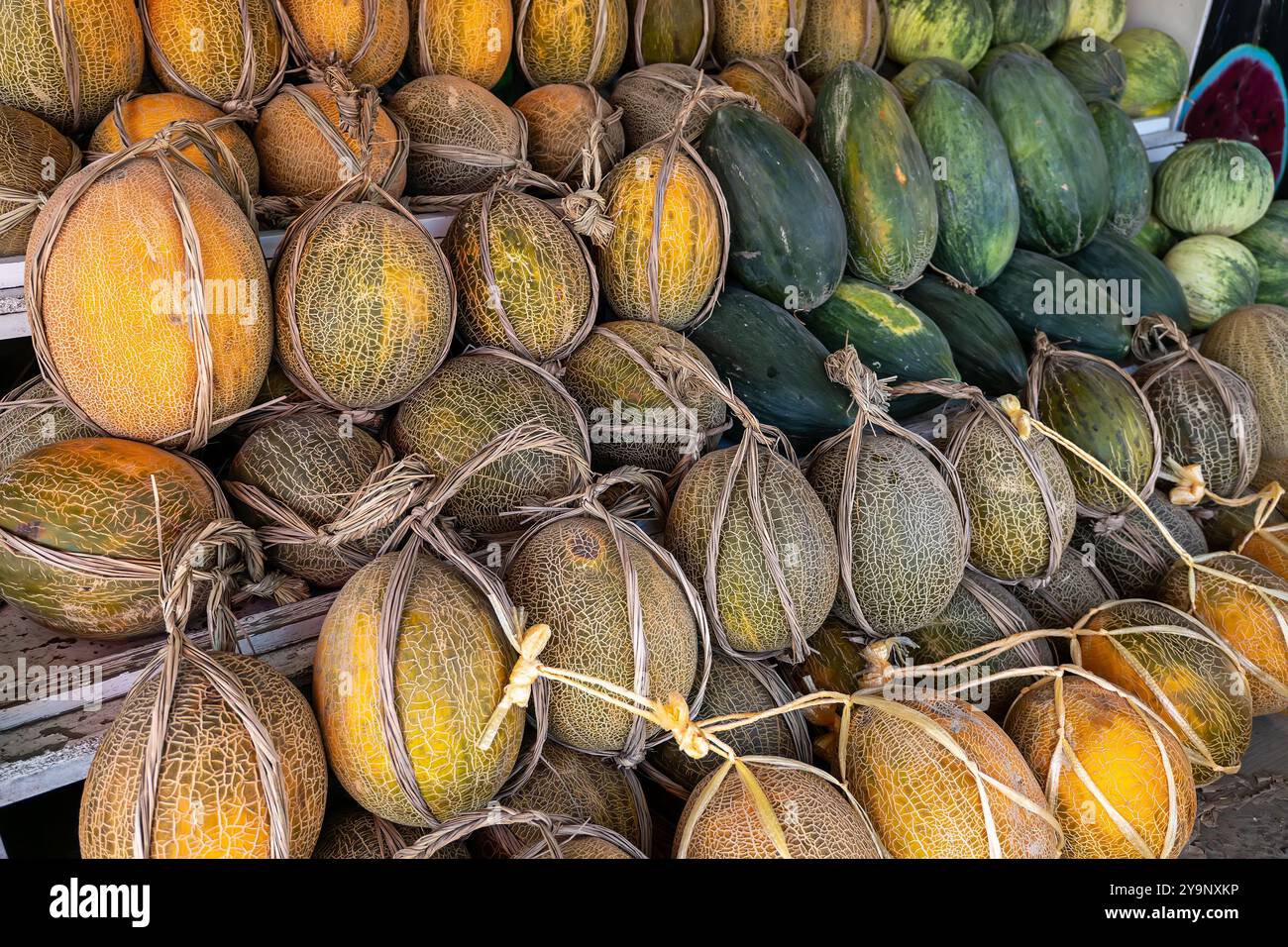 Melonen und Wassermelonen werden in der Nähe einer Straße verkauft. Wintermelone. Stockfoto