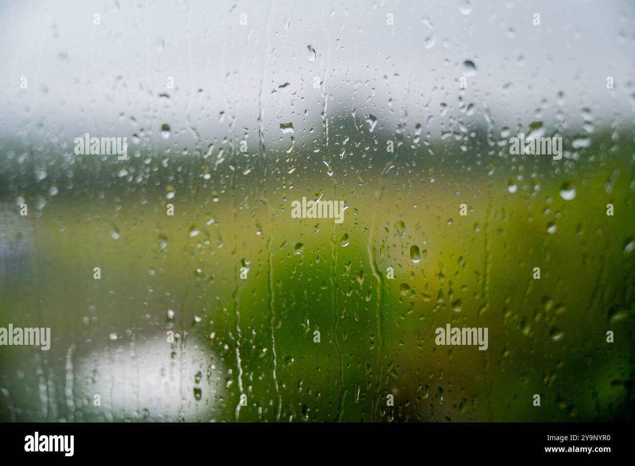 Regentropfen laufen über eine Fensterscheibe mit unscharfen Gärten dahinter Stockfoto