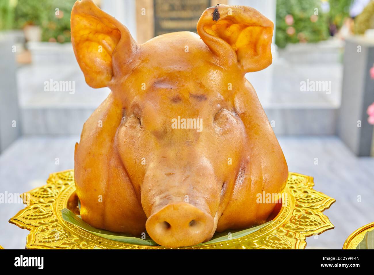 Schweinekopf Opfergabe in Gottesverehrung Stockfoto