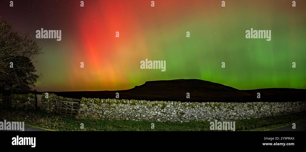 Panoramaaufnahme der Nordlichter, aurora Borealis, über Penyghent, einem der berühmten Three Peaks, Yorkshire Dales National Park, Großbritannien. Stockfoto