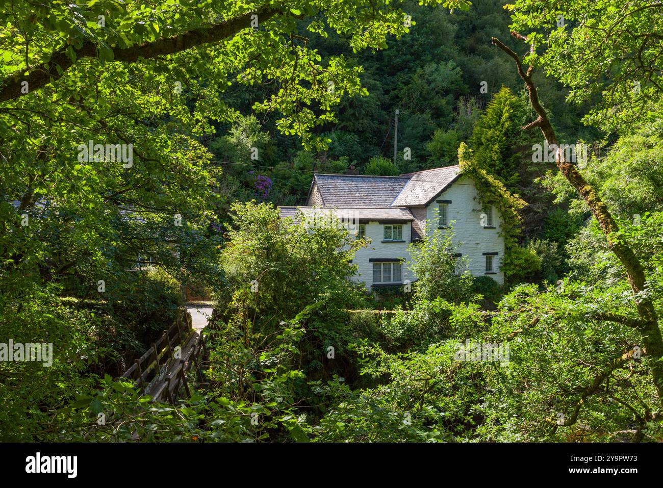 Die Fußgängerbrücke über den East Lyn River bei Rockford im Brendon Valley, Exmoor National Park, Devon, England. Stockfoto