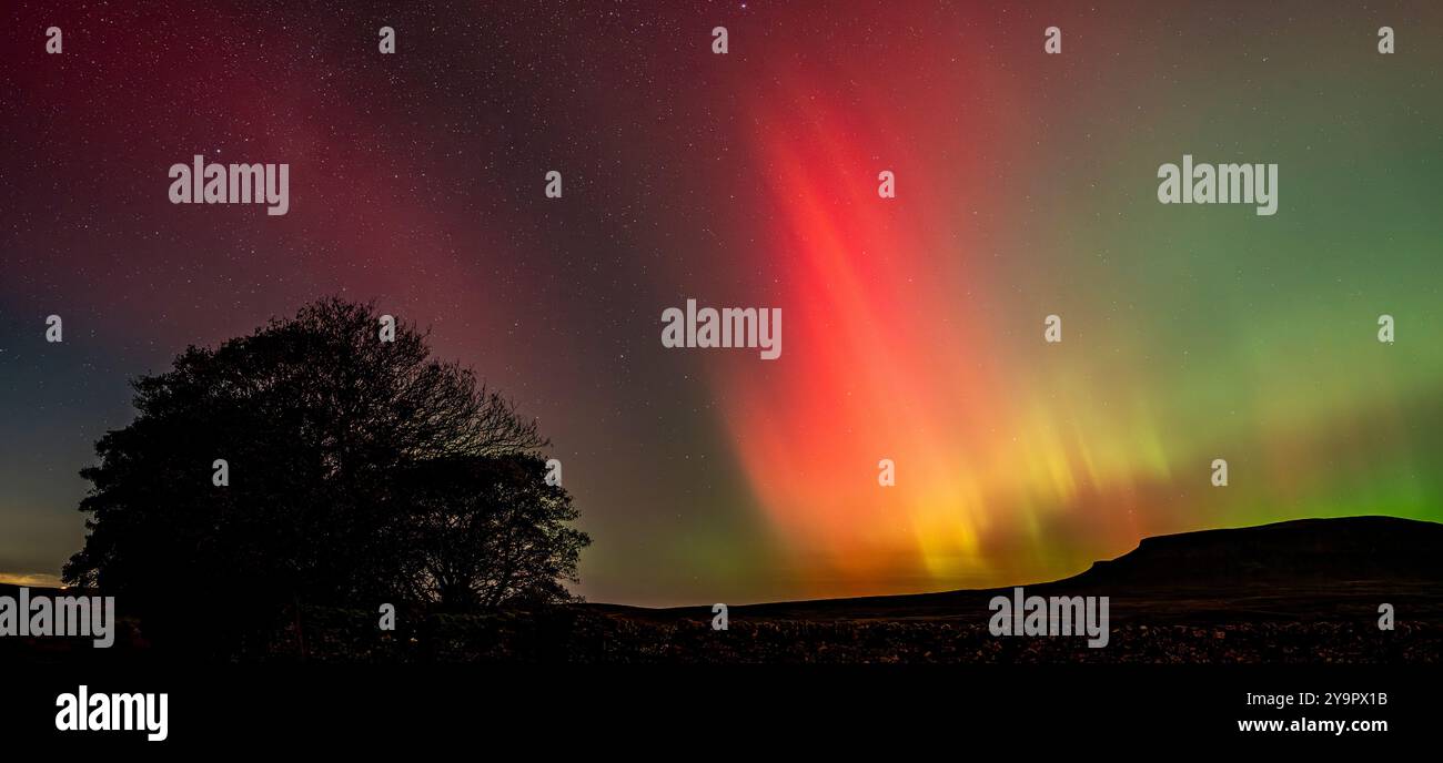 Panoramaaufnahme der Nordlichter, aurora Borealis, über Penyghent, einem der berühmten Three Peaks, Yorkshire Dales National Park, Großbritannien. Stockfoto