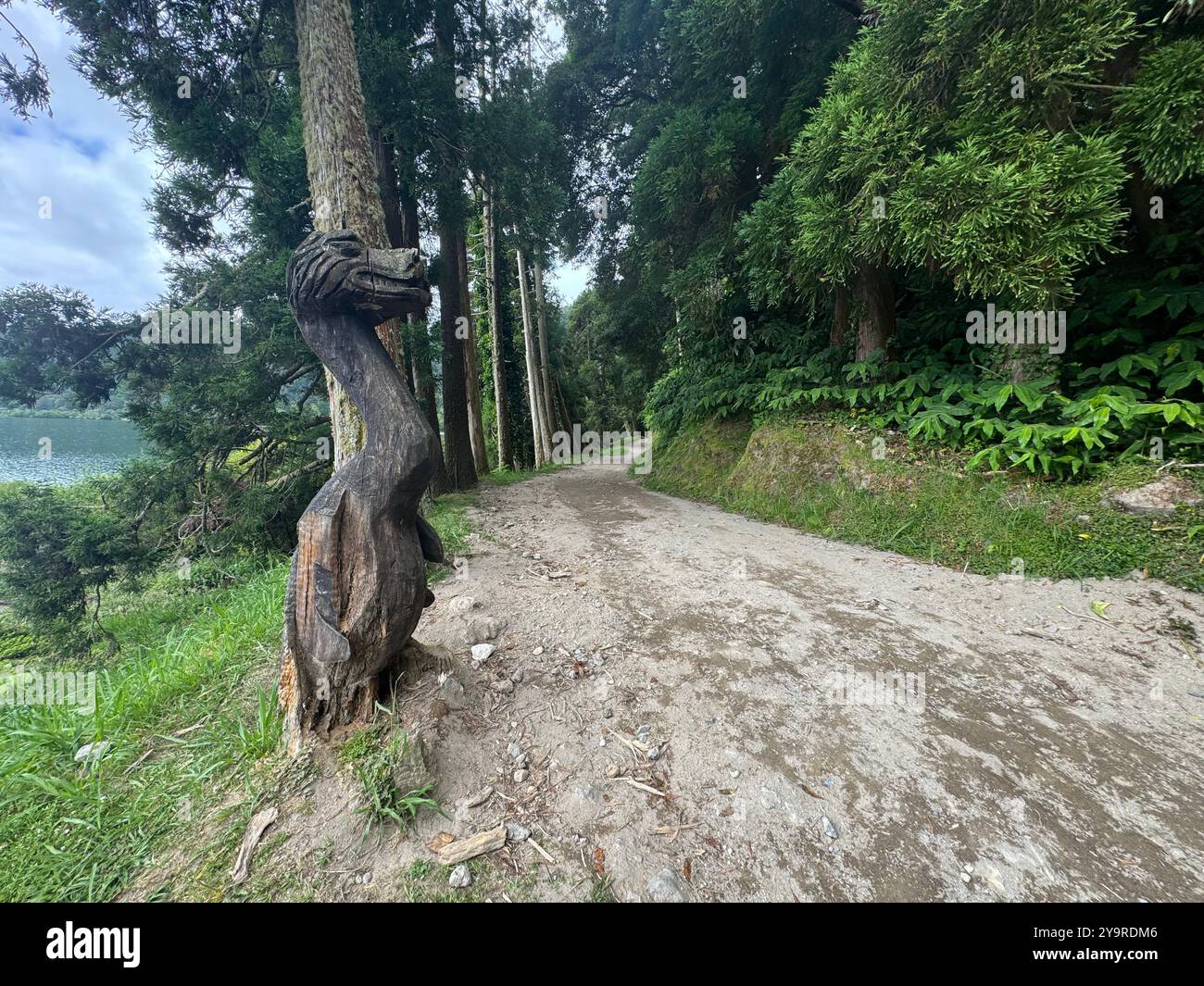 Holzgeschnitzte Drachenskulptur neben einem unbefestigten Wanderweg mit Blick auf den See Furnas, Insel São Miguel, Azoren, Portugal. - Smartphone-aufgenommenes Stockfoto