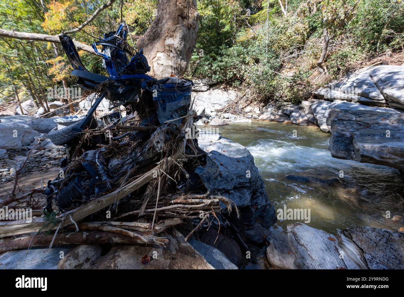 ELK PARK, NORTH CAROLINA – 5. OKTOBER: Ein scheinbar ein Pickup-Truck wird um einen Baum neben einem Fluss gewickelt, nachdem der Hurrikan Helene am 5. Oktober 2024 in Elk Park, North Carolina, aufgetreten war. Der Kategorie-4-Hurrikan, der an der Südostküste landete, hinterließ weite Zerstörungen in Teilen Floridas nach Virginia. Stockfoto