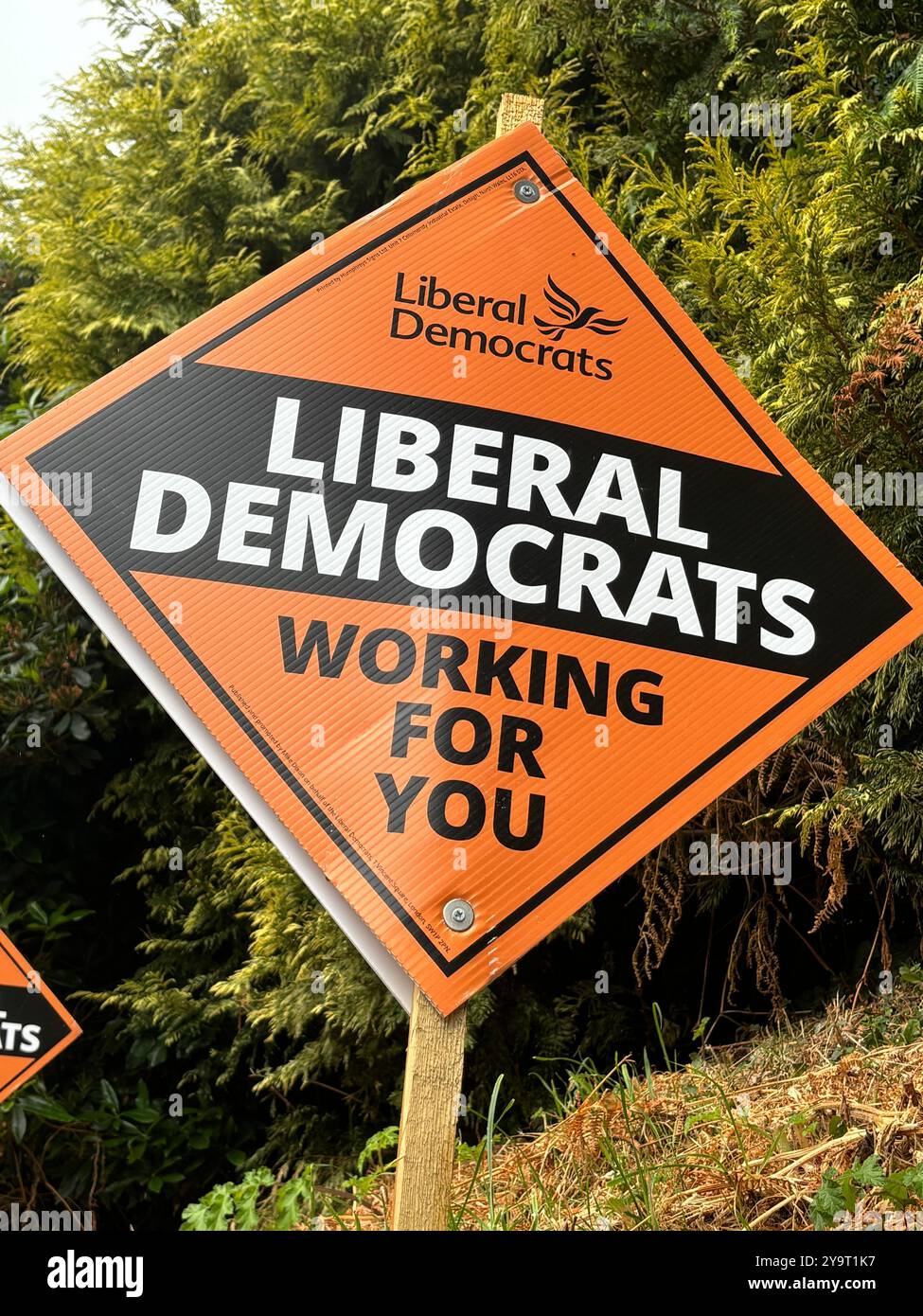 Werbespot für die Liberal Democratic Party im Sommer 2024 Chard Somerset England uk - Smartphone-aufgenommenes Stockfoto