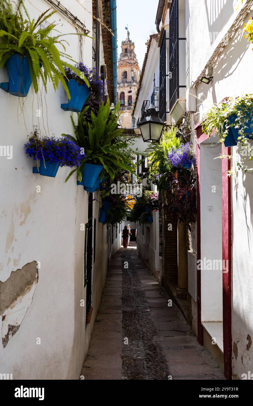 Die berühmte Calle de las Flores in Cordoba, Spanien Stockfoto