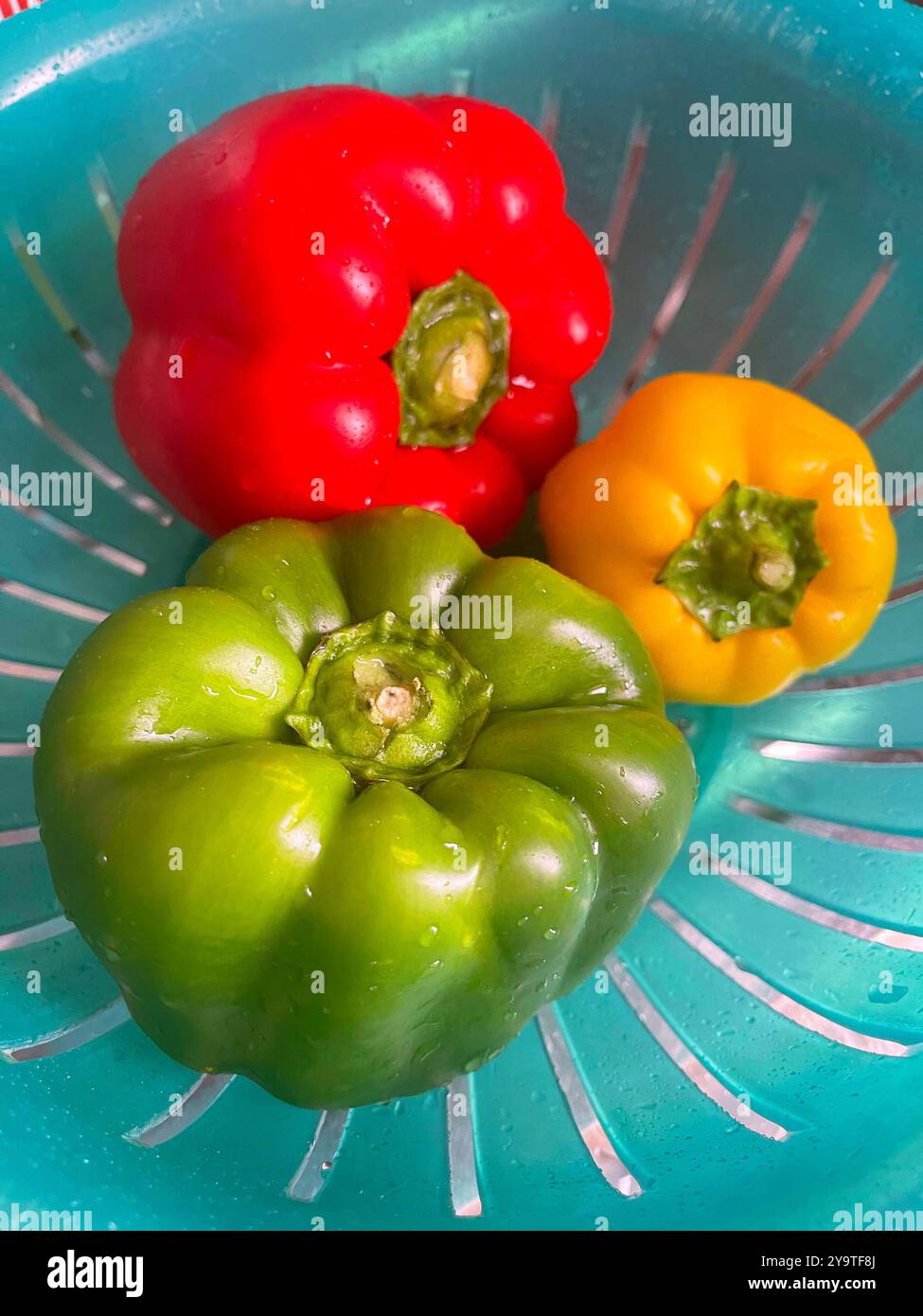 Drei Paprika: Grün, rot und gelb. Stockfoto