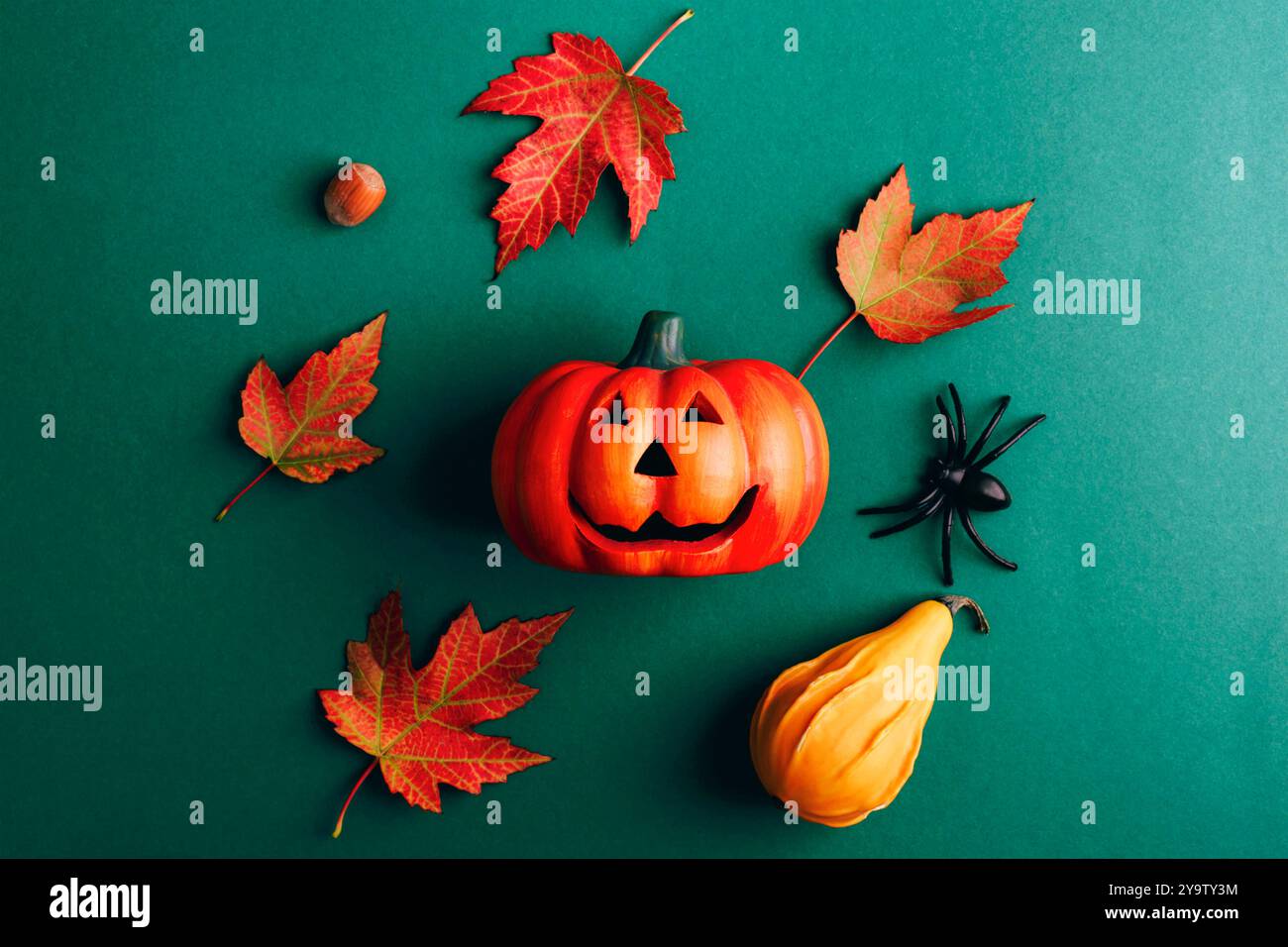 Halloween Kürbis Jack O Laterne, Spinne und Herbstblätter auf dunkelgrünem Hintergrund. Draufsicht, flach, Kopierbereich. Stockfoto