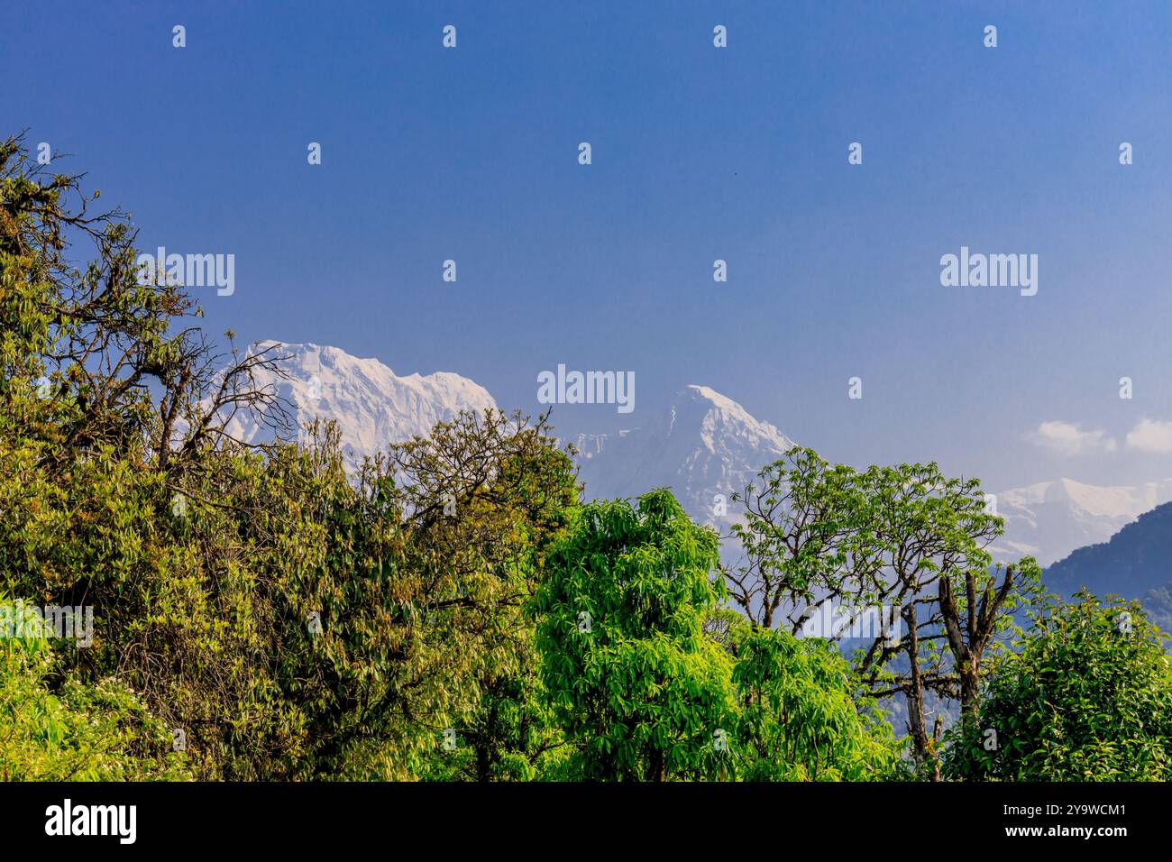 Der Gipfel des Annapurna South im Himalaya bei Pokhara, Nepal. Fischschwanzberg mit Schnee, Eis und Felsen wunderschöner Gipfel in Annapurna Range Stockfoto