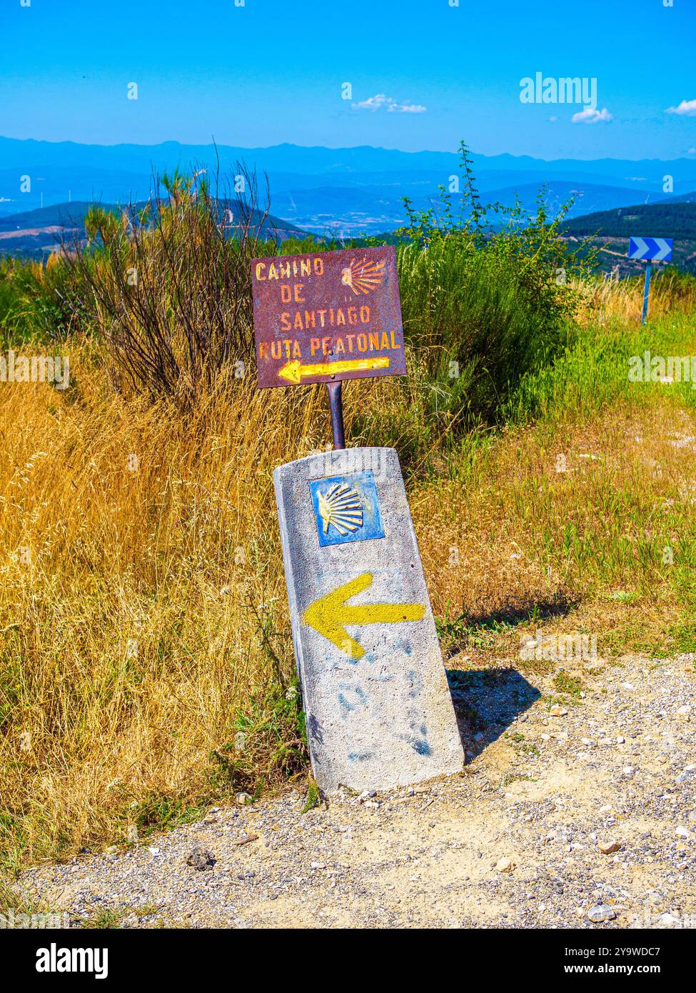 Gelbe Jakobsmuschel und gelber Pfeil, Symbole des Jakobsweges. Spanien. Stockfoto