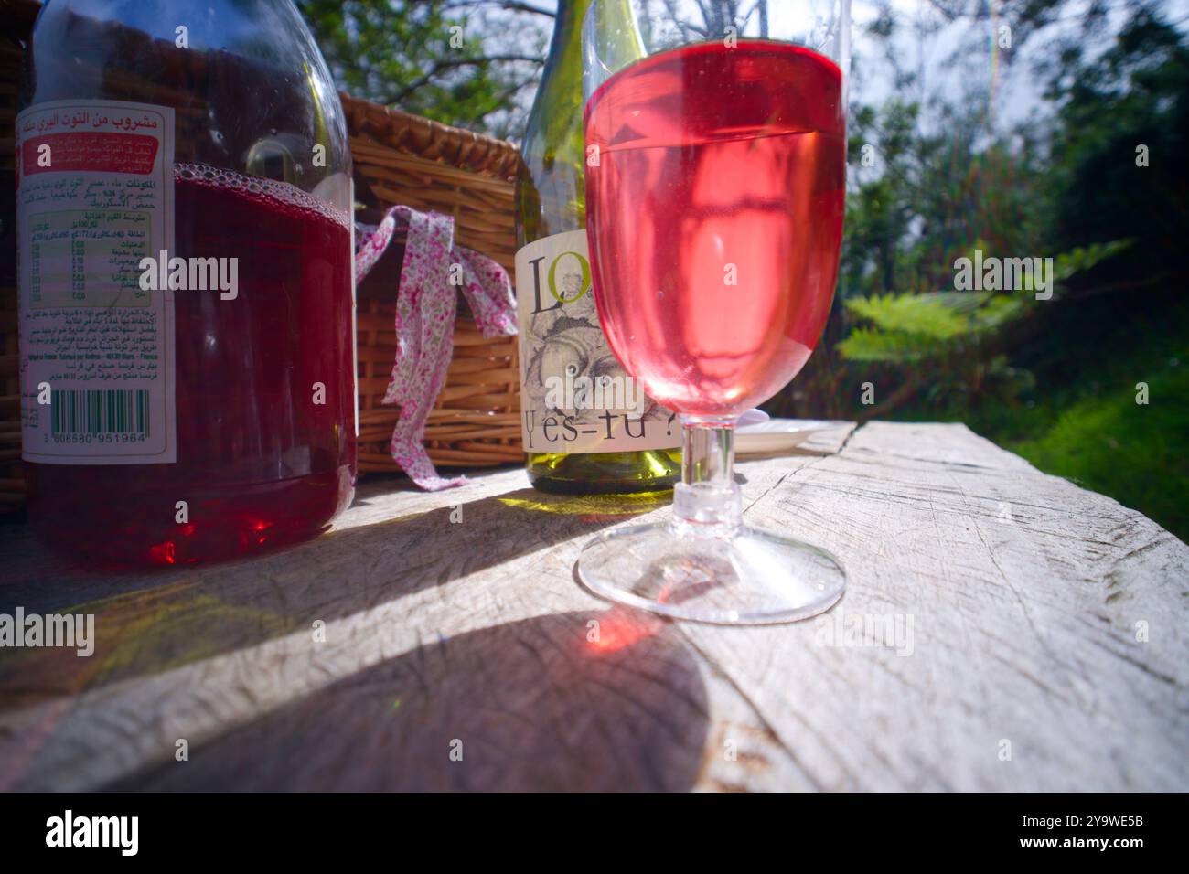 Glas Rosé-Wein mit Flaschen und Picknickkorb im Freien Stockfoto