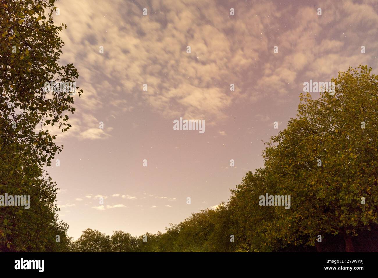 Aurora Northern Lights erleuchten den Londoner Himmel mit farbenfrohen Displays vom 10. Bis 10. Oktober 2024, England Großbritannien Stockfoto