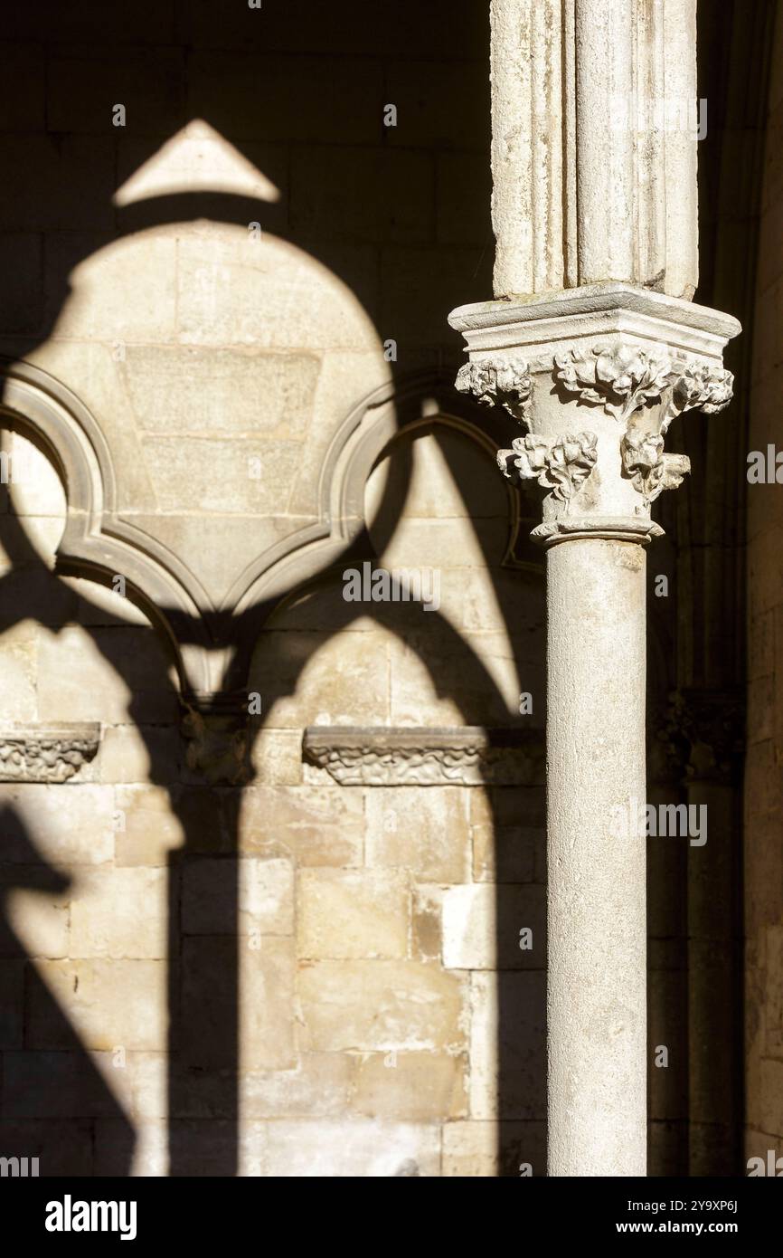 Frankreich, Meurthe et Moselle, Toul, Kathedrale Saint Etienne, erbaut zwischen dem 13. Und 16. Jahrhundert im extravaganten gotischen Stil, Galerie des Klosters im 14. Jahrhundert von Pierre Perrat, einem der größten Kreuzgänge Frankreichs, wiederaufgebaut Stockfoto