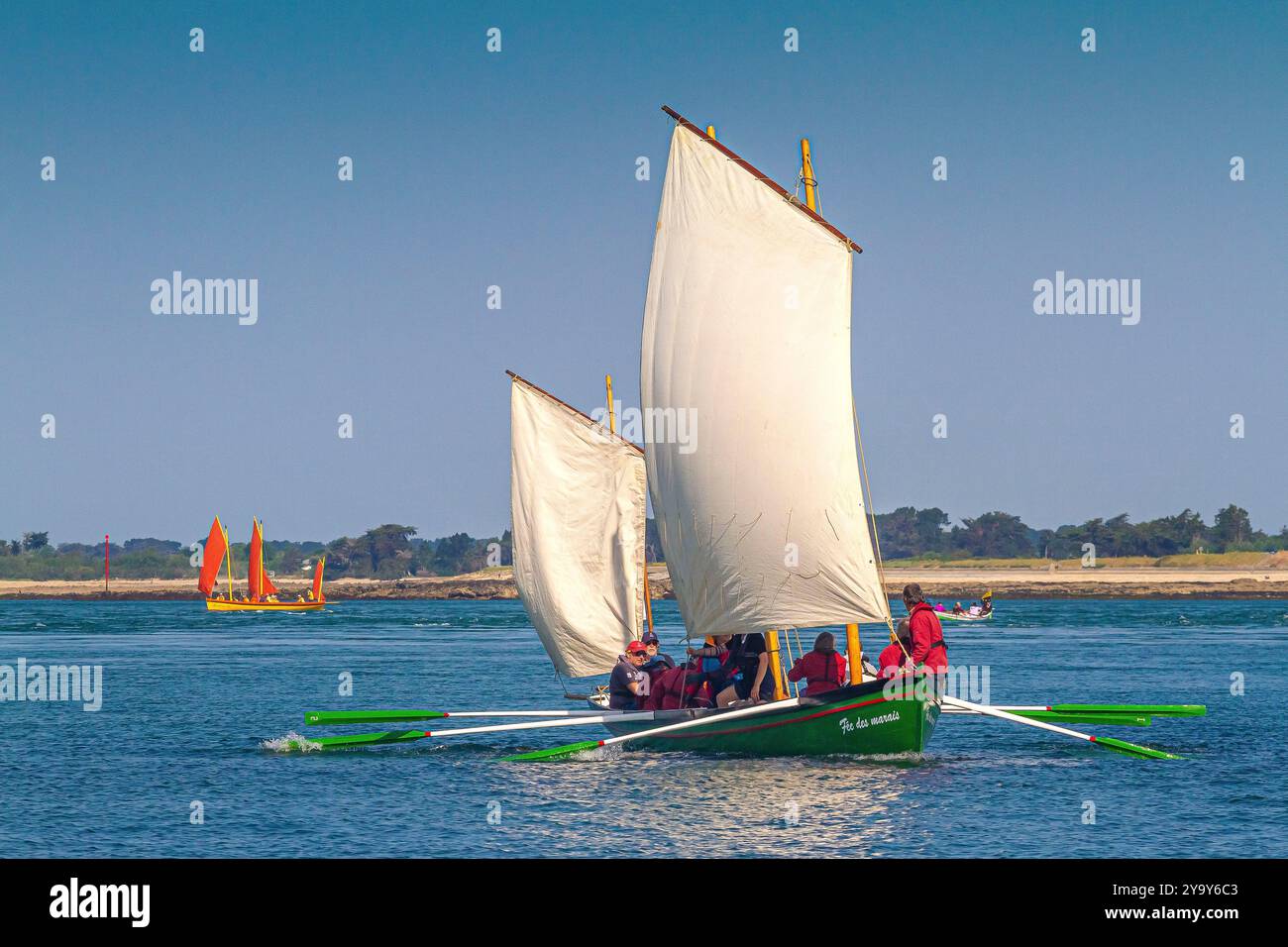 Frankreich, Morbihan, Golf von Morbihan, Arzon, Port Navalo, Marsh Fairy, Bantry yole, Golfwoche, Ausgabe 2023 Stockfoto