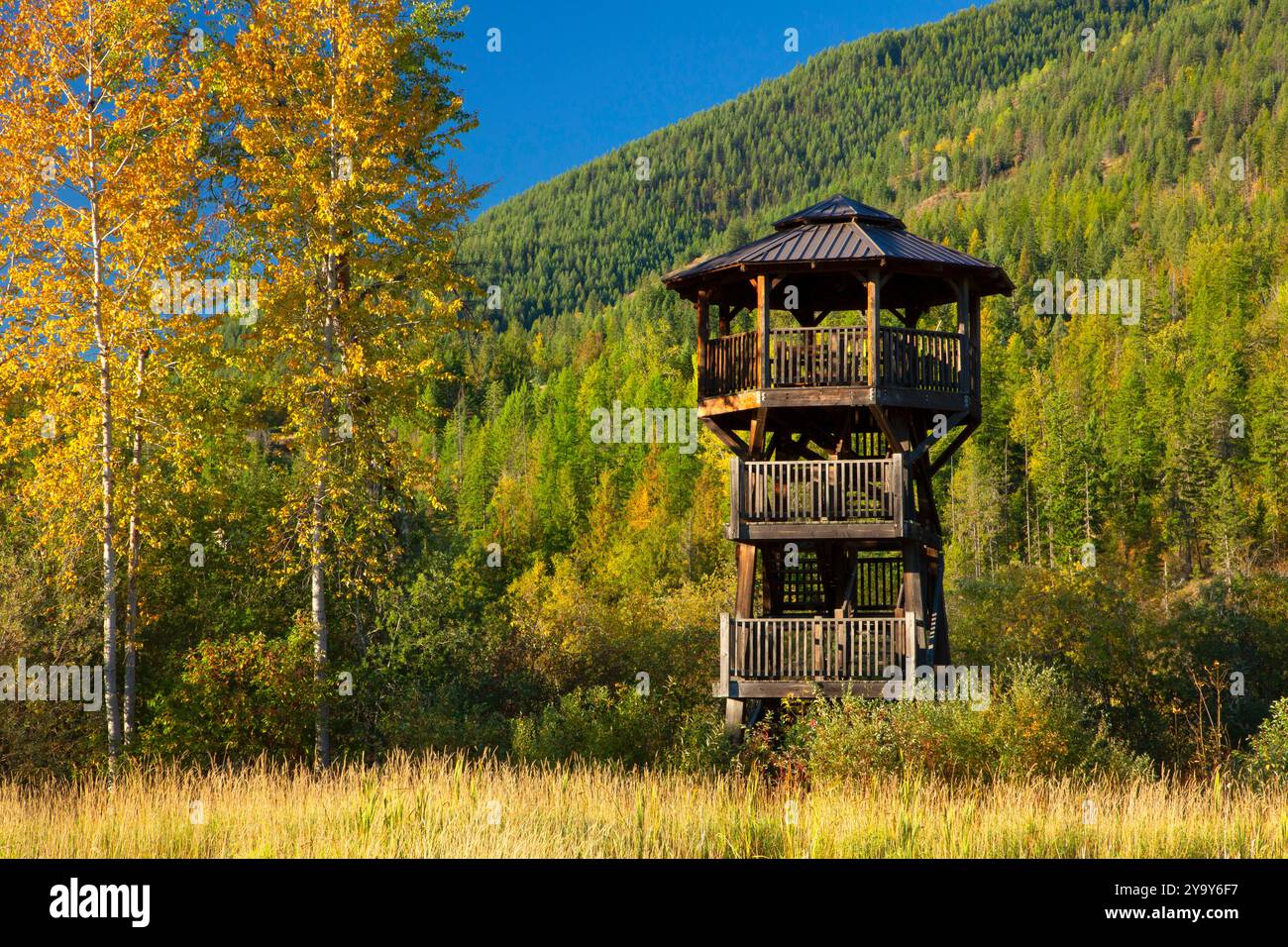 Bird Tower on Songbird Walk, Creston Valley Wildlife Management Area, British Columbia, Kanada Stockfoto