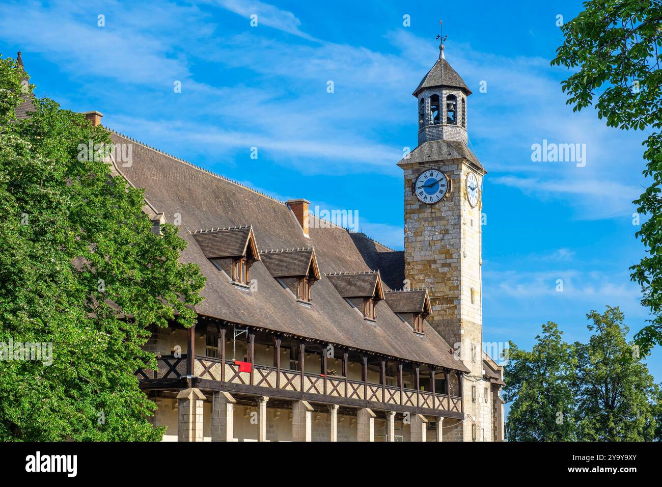 Frankreich, Allier, Montlucon, Schloss der Herzöge von Bourbon Stockfoto