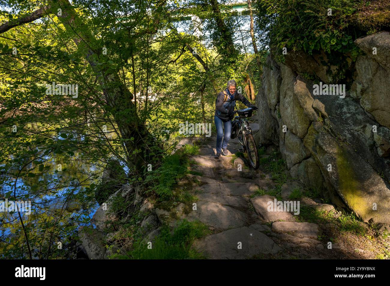 Frankreich, Vendee, Mortagne sur Sèvre, alter Schleppweg entlang des Flusses Sèvre Nantaise Stockfoto