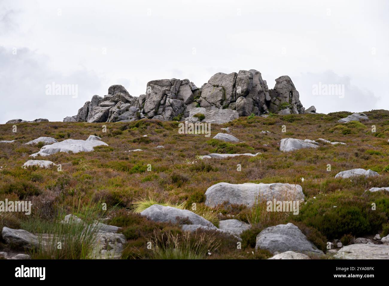 Walking on Barden Fell im Sommer, eine Felsenlandschaft, Yorkshire dales, England Stockfoto