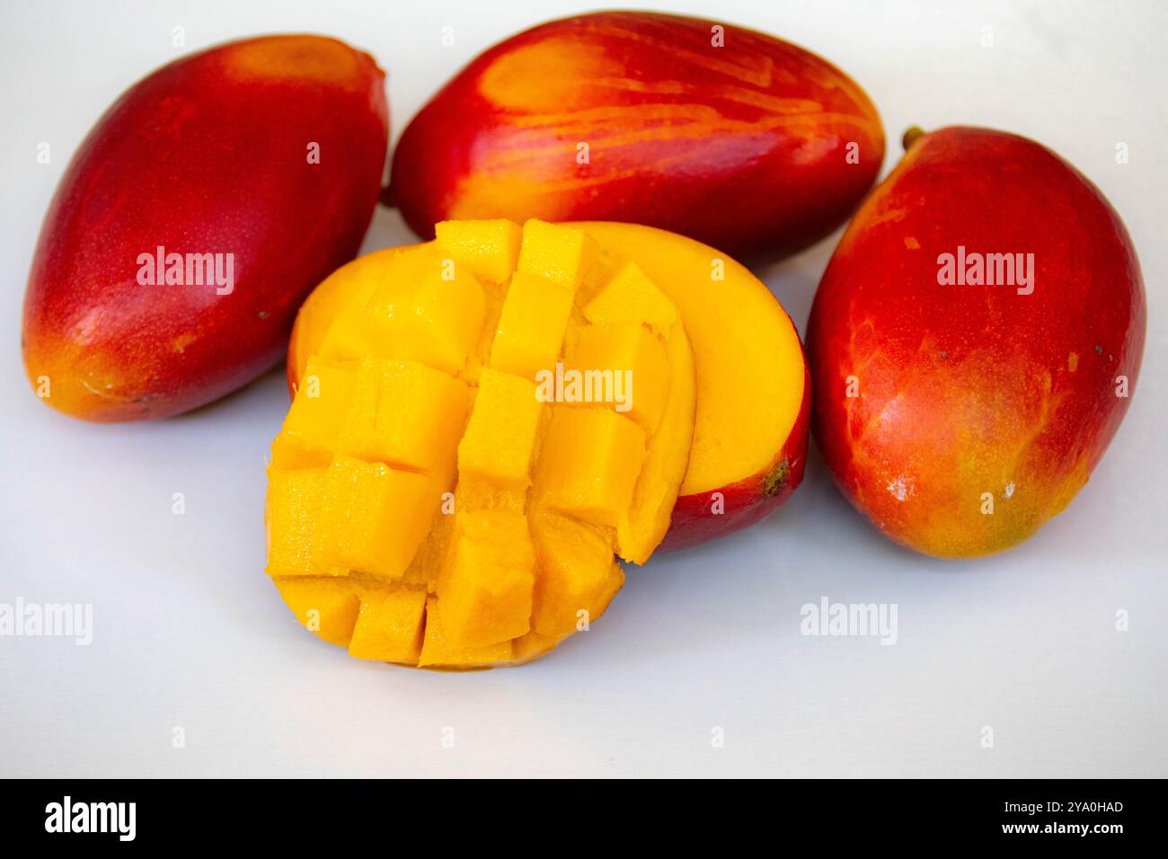 Brasilianische Mangos der Palmer-Art, reif und isoliert Stockfoto