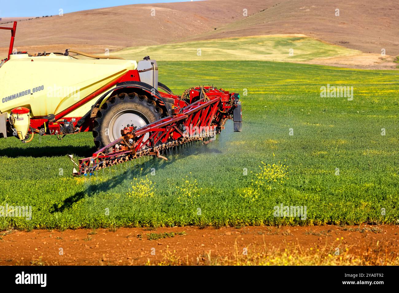 Canola Field Being Sprayed, Barunga and Hummocks Ranges, South Australia Stockfoto