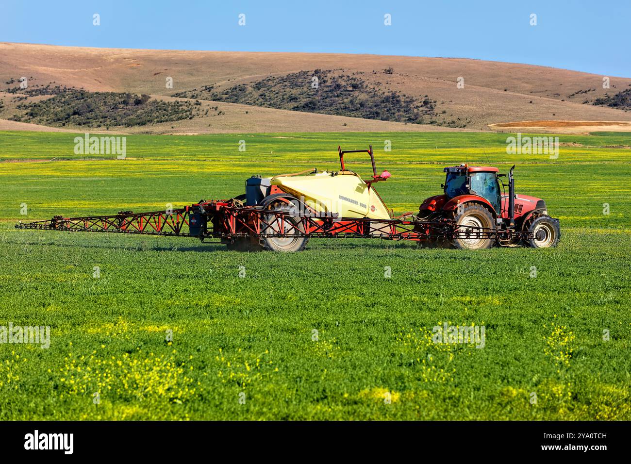 Canola Field Being Sprayed, Barunga and Hummocks Ranges, South Australia Stockfoto