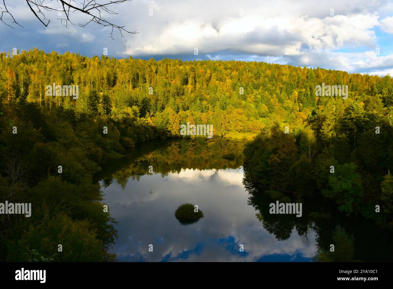 Malerischer Blick auf das überflutete Tal bei Rakov Škocjan mit einer Reflexion im Wasser in Slowenien Stockfoto