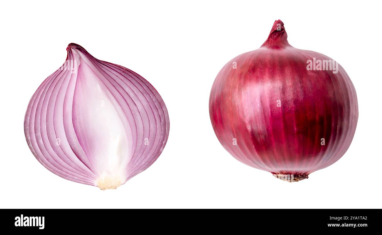 Der Satz großer roter oder lila Zwiebelzwiebeln mit einer Hälfte von oben ist auf weißem Hintergrund mit Beschneidungspfad isoliert. Stockfoto
