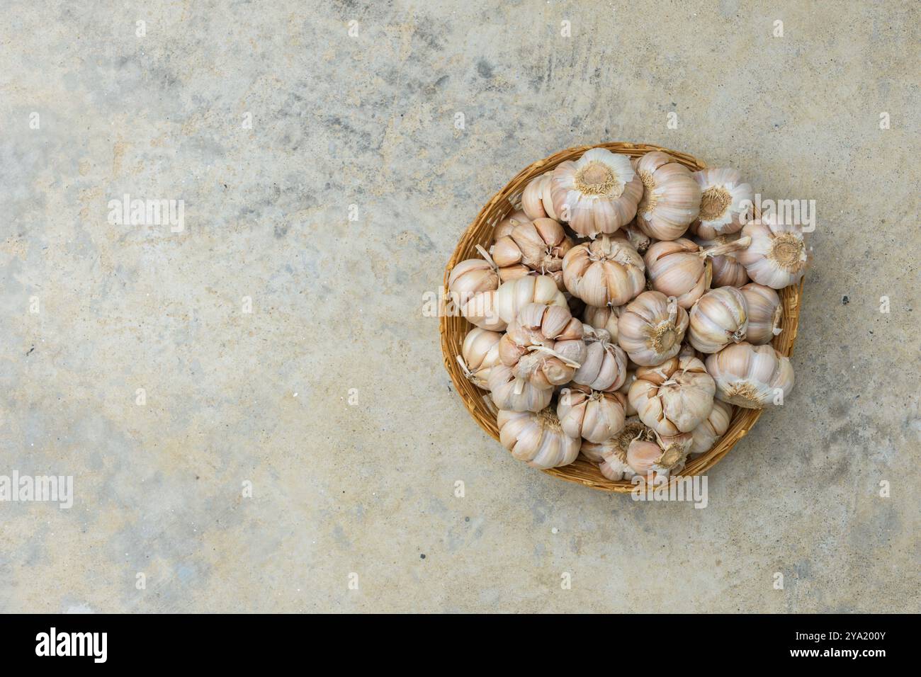 Legen Sie Knoblauch flach in den Korb auf Betonhintergrund oder Hintergrund mit Kopierraum. Stockfoto
