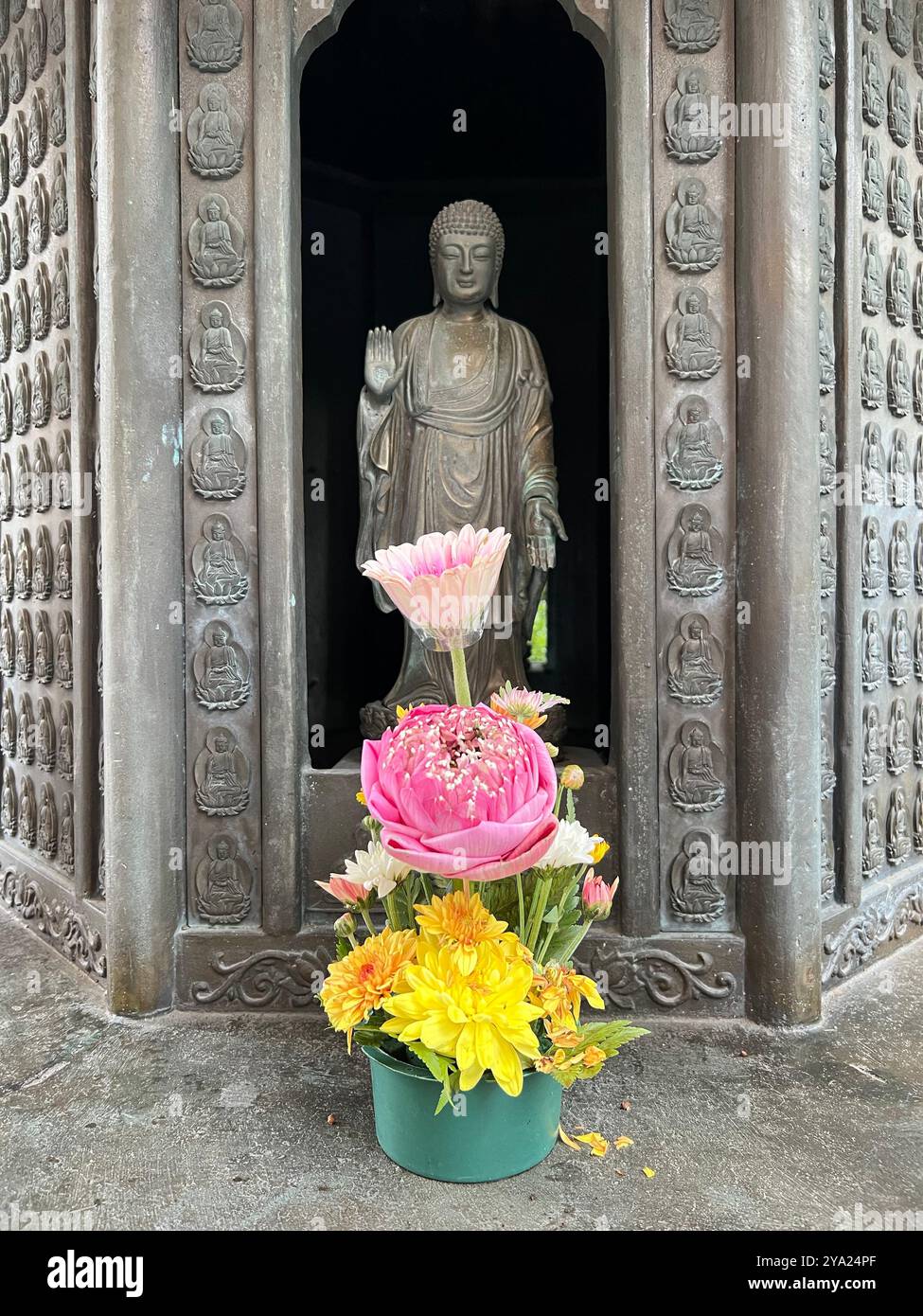 Chrysantheme blüht, um eine stehende Buddha-Statue anzubeten oder zu respektieren. Ein Zen-Moment. - Smartphone-aufgenommenes Stockfoto