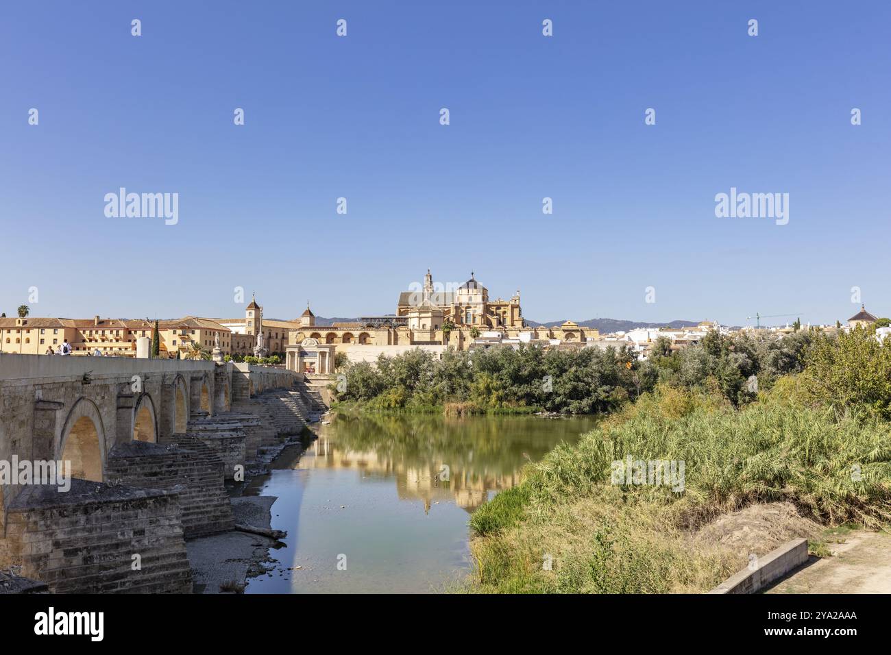 Historische Brücke über einen Fluss mit Blick auf eine Stadt und grüne Vegetation, Cordoba Stockfoto