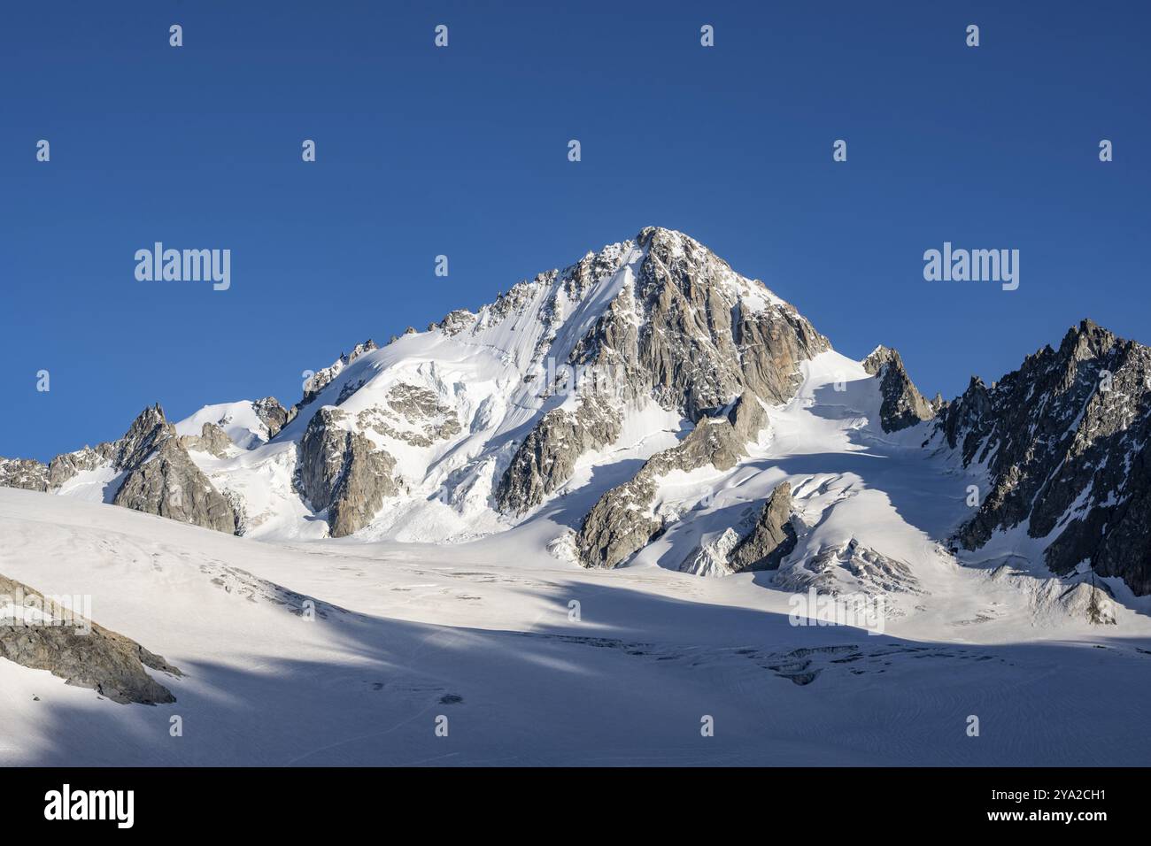 Hochalpine Berglandschaft, Gipfel der Aiguille de Chardonnet und Glacier du Tour, Gletscher und Berggipfel, Chamonix, Haute-Savoie, Frankreich Stockfoto