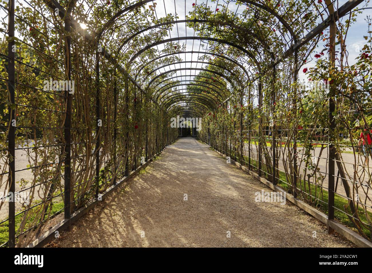 Eine grüne Pergola, im Sonnenlicht getaucht und von der Natur umgeben, Wien Stockfoto