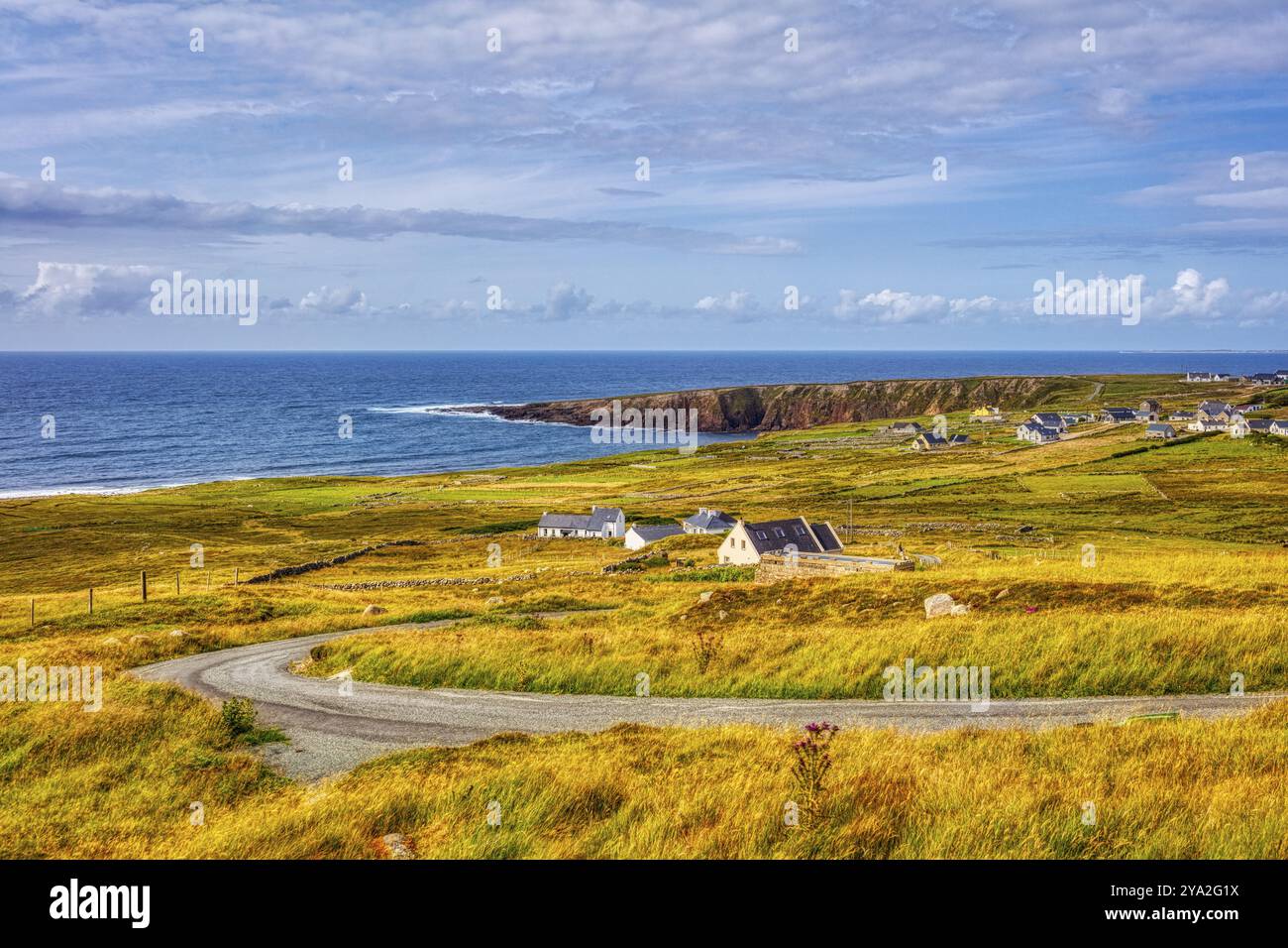 Panoramablick auf eine malerische Küstenlandschaft mit Klippen, grünem Gras und ruhigem Meer unter bewölktem Himmel, Nordirland Stockfoto