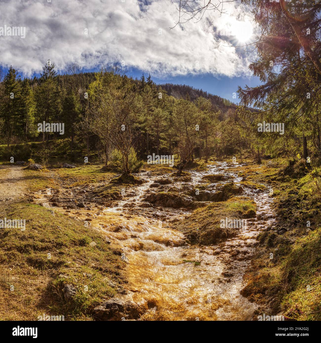 Ein strahlender Bach fließt durch einen Wald, in Sonnenlicht getaucht und von Bäumen umgeben, Schlipfgrubalm Stockfoto