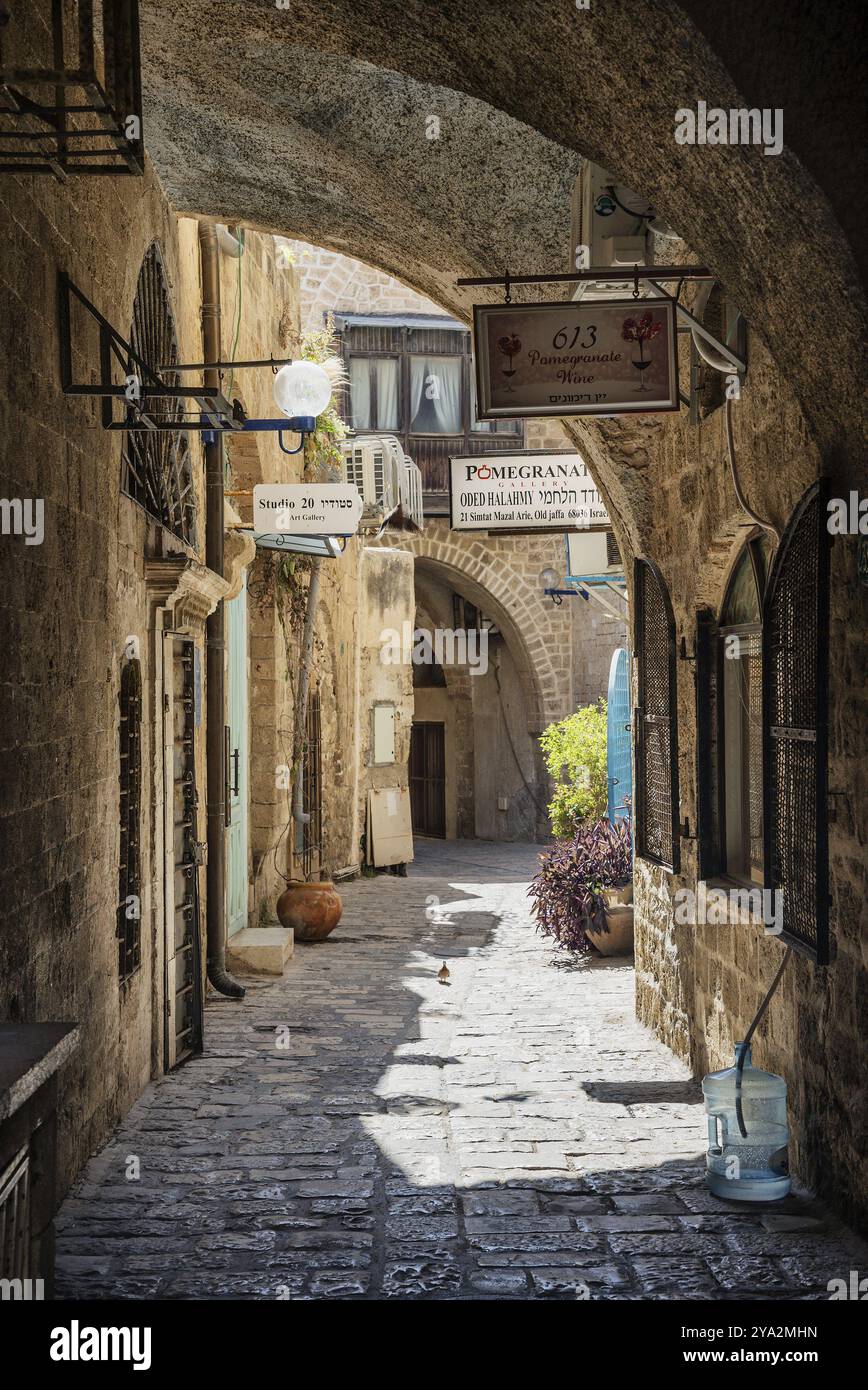 Kopfsteinpflasterstraße in der Altstadt von yafo jaffa von Tel aviv israel Stockfoto