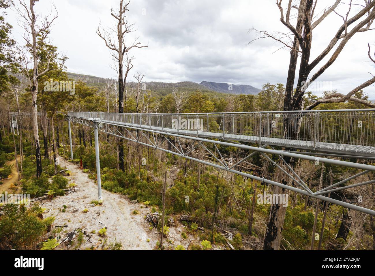 Tahune Airwalk Landschaft rund um den Huon River an einem bewölkten Sommertag im Huon Valley, Tasmanien, Australien, Ozeanien Stockfoto