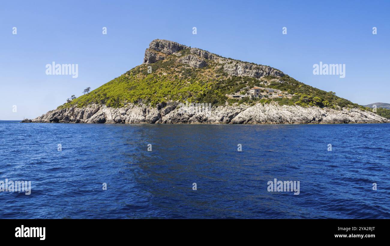 Bewaldete Küste, Halbinsel Peljesac, Dalmatien, Kroatien, Europa Stockfoto