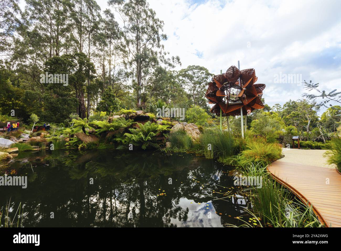 Ein Spätherbstnachmittag im Dandenong Ranges Botanic Garden im Chelsea Australian Garden als Teil des Olinda-Projekts in Olinda, Victoria, Australien Stockfoto