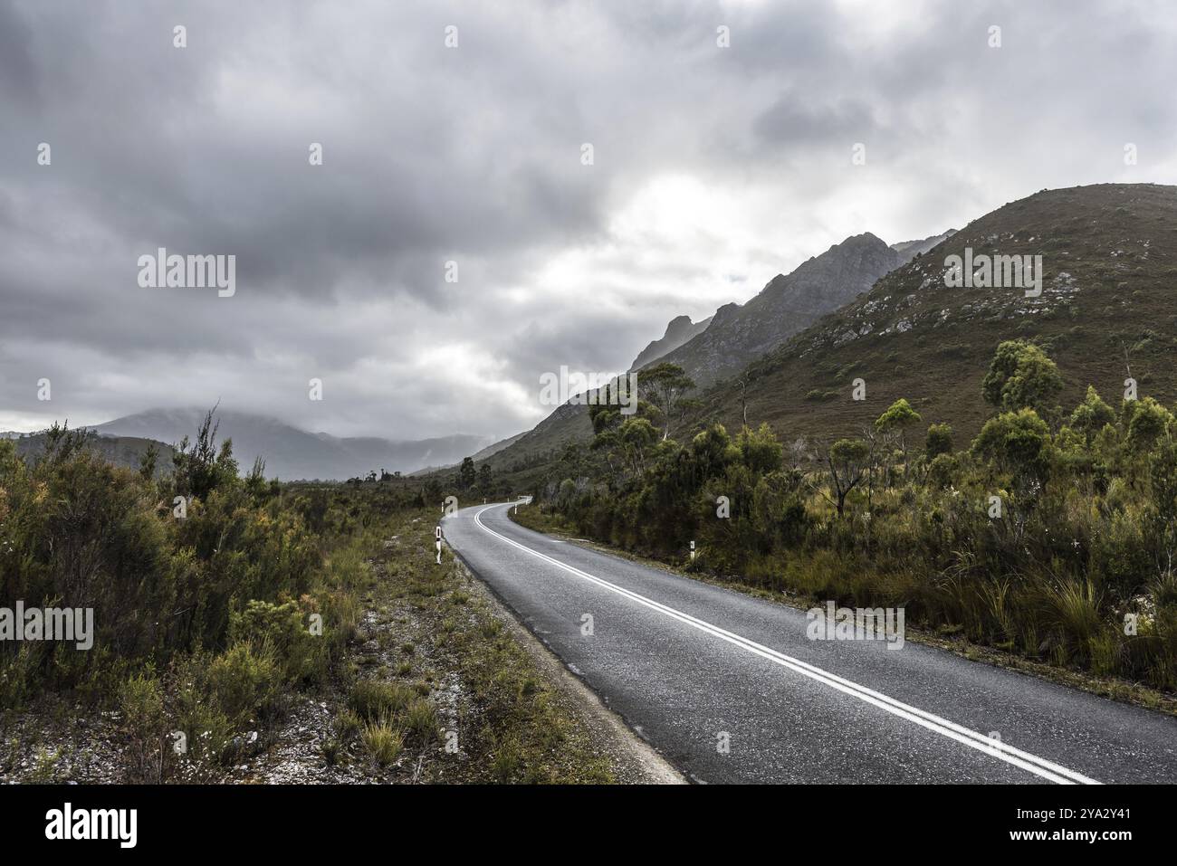 Die malerische Gordon River Rd an der Sentinel Range of Mountains in der Nähe der Bitumen Bones Sculpture an einem kühlen, feuchten Sommermorgen im Southwest National P Stockfoto