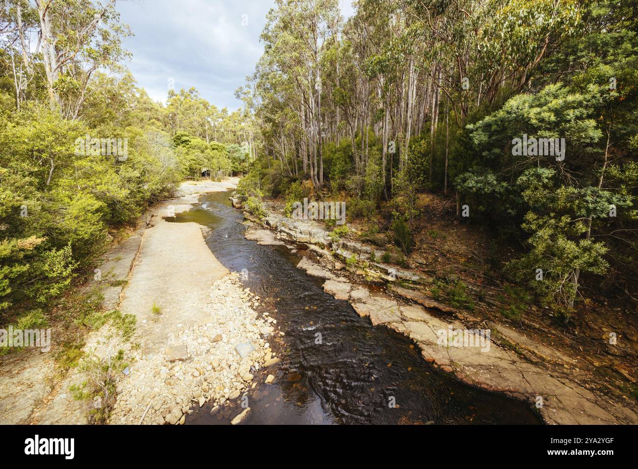 Das Gebiet um das Esperance River Forest Reserve im Southwest National Park in der Nähe von Dover, einem Weltkulturerbe in Tasmanien Australien Stockfoto