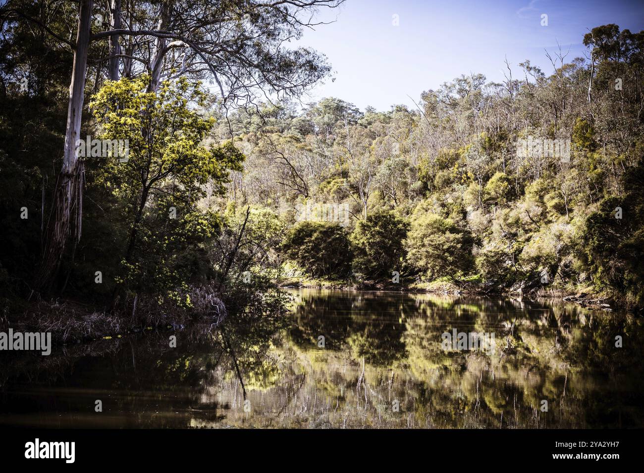 Blue Tongue Bend spazieren Sie entlang des Yarra River als Teil des Warrandyte State Park an einem warmen Wintertag in Warrandyte, Victoria, Australien, Ozeanien Stockfoto