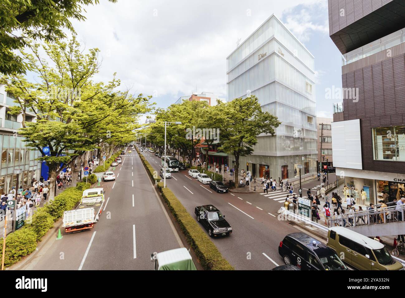 TOKIO, JAPAN, 19. MAI 2019, Main Avenue durch Harajuku und Omotesando in der Nähe der Cat Street im Zentrum von Tokio, Japan, Asien Stockfoto