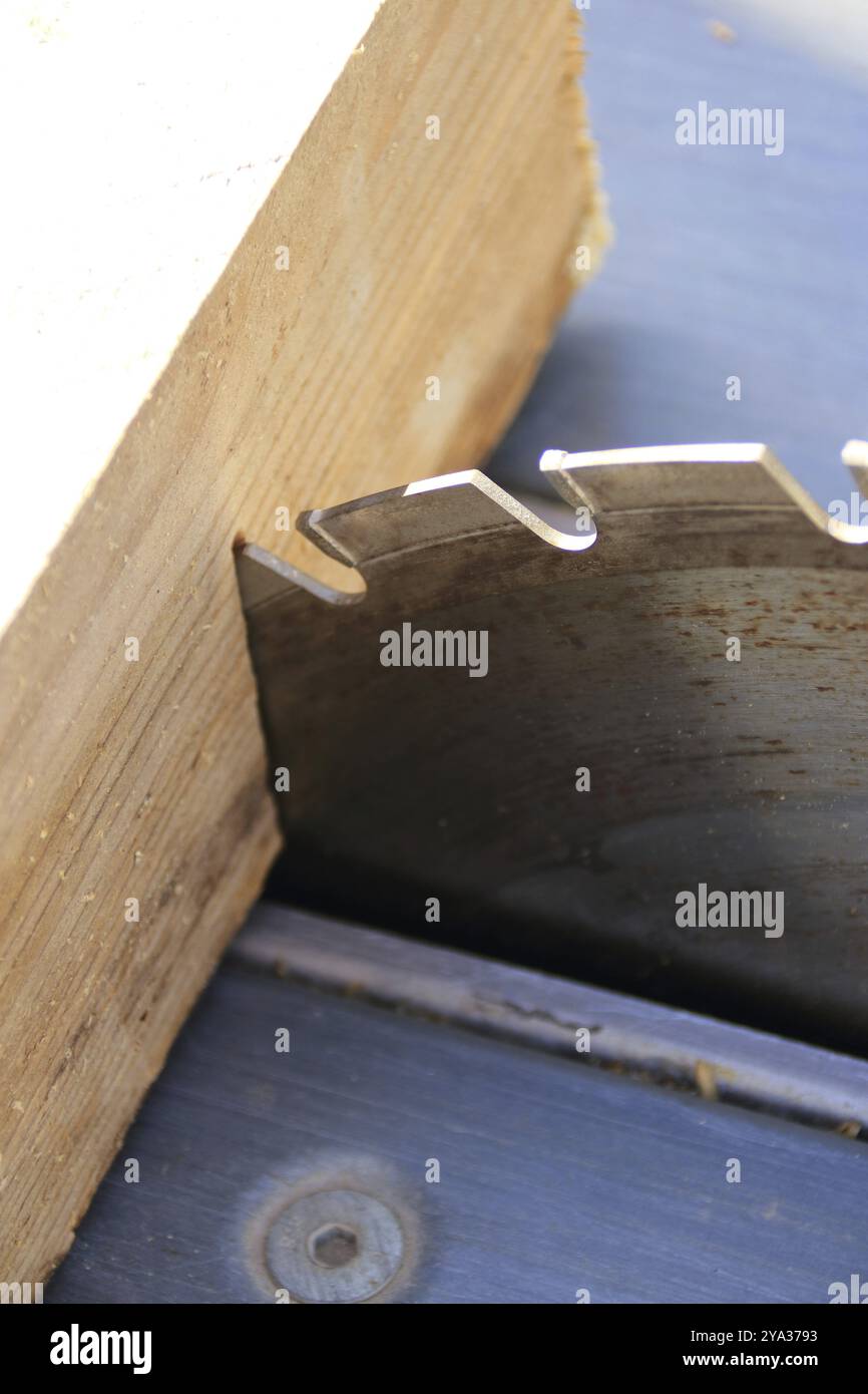 Ein Stück Holz liegt am Sägeblatt einer Kreissäge Stockfoto