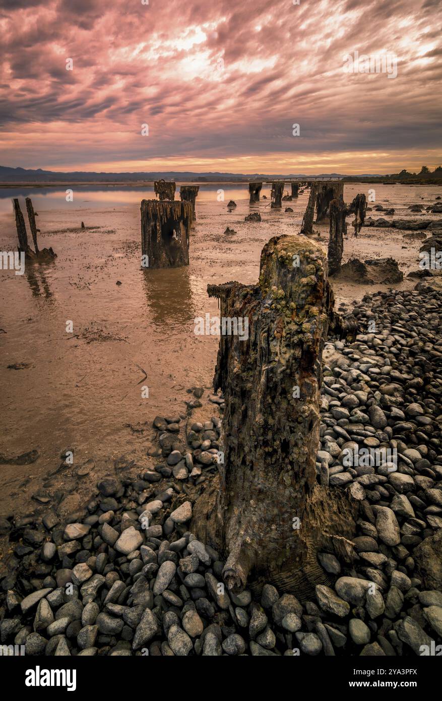 Sonnenuntergang über alten Pier Pfosten, die einst den alten Kai über Humboldt Bay, Kalifornien, hielten Stockfoto